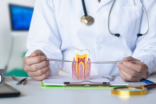 Best Emergency Wisdom Tooth Extraction in Irwin, SC